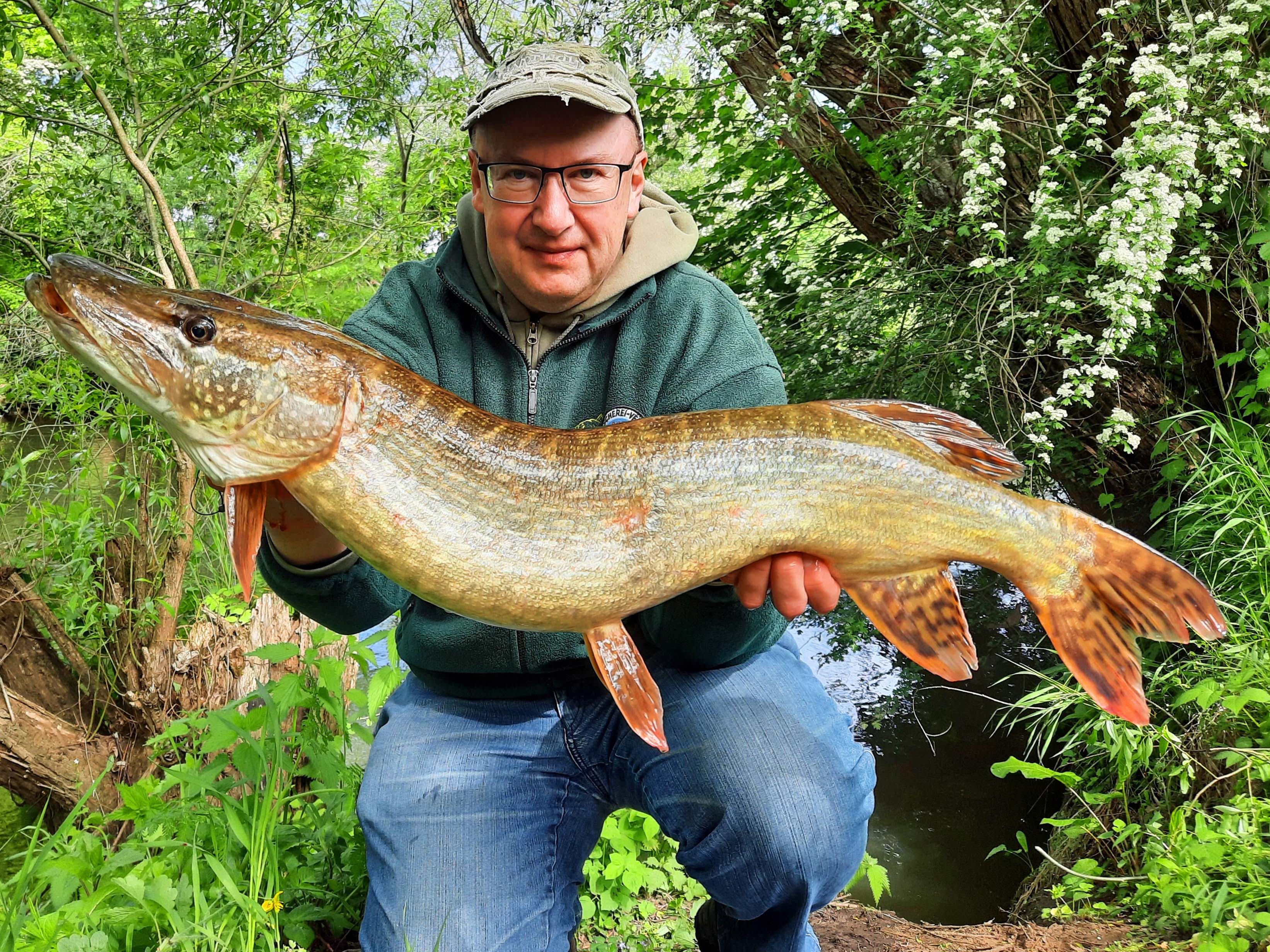 Armin Tuchan Hecht 87 cm 5,7 kg Rednitz