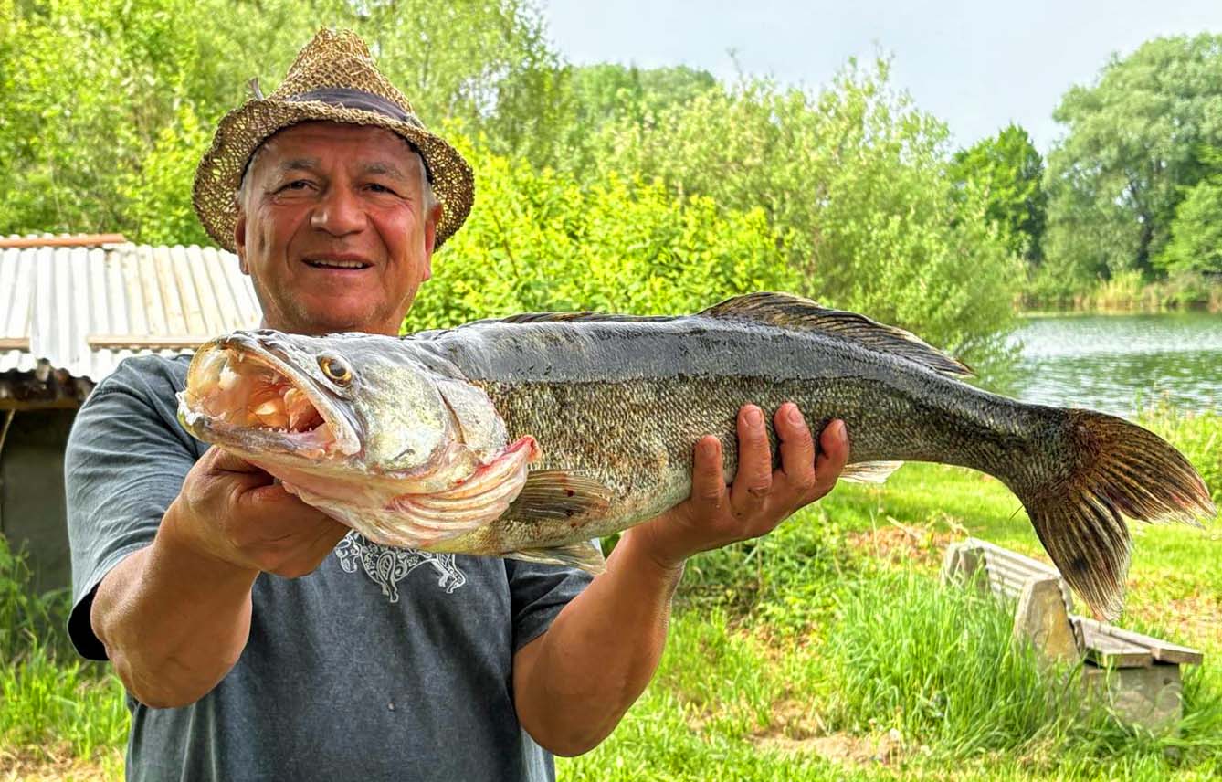 Ramazan Kamalioglu Zander 86 cm 6,1 kg Ulrichsee
